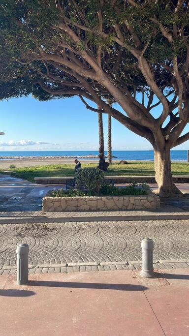 Beachfront House マラガ エクステリア 写真